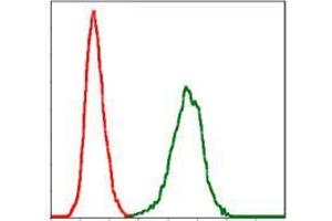 Flow cytometric analysis of NIH/3T3 cells using SERPINE1 mouse mAb (green) and negative control (red). (PAI1 抗体)