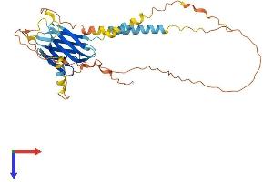Protein Structure (PS) image for Poliovirus Receptor-Related Immunoglobulin Domain Containing (PVRIG) (AA 1-326) protein (His tag) (ABIN7551165)