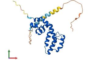 AlphaFold protein structure predicition of Human Recombinant RGS2 Protein, UniprotID P41220