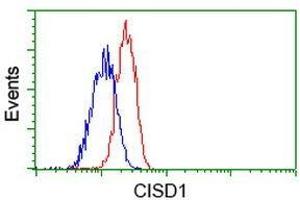 Flow Cytometric analysis of Jurkat cells using CISD1 antibody (Red), compared to a nonspecific negative control antibody (Blue). (CISD1 抗体)