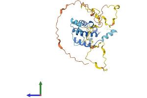 Protein Structure (PS) image for Calponin 3, Acidic (CNN3) (AA 1-329) protein (His tag) (ABIN7546624)