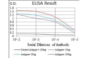 Black line: Control Antigen (100 ng), Purple line: Antigen(10 ng), Blue line: Antigen (50 ng), Red line: Antigen (100 ng), (CD24 抗体  (AA 15-80))