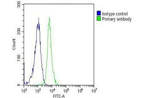 Overlay histogram showing Jurkat cells stained with (ABIN387785 and ABIN2838022)(green line). (SUMO1 抗体)