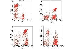 Flow Cytometry (FACS) image for anti-CD3,CD4,CD8,HLA-DR antibody (FITC,PE,PE-Cy5,APC) (ABIN2144744) (CD3,CD4,CD8,HLA-DR 抗体 (FITC,PE,PE-Cy5,APC))