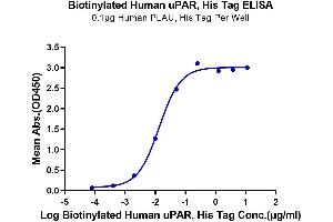 Immobilized Human PLAU, His Tag at 1 μg/mL (100 μL/well) on the plate. (PLAUR Protein (AA 23-305) (His-Avi Tag,Biotin))