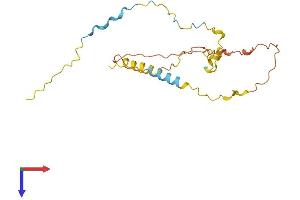 Chromosome 5 Open Reading Frame 39 (C5orf39) (AA 1-193) protein (His tag)