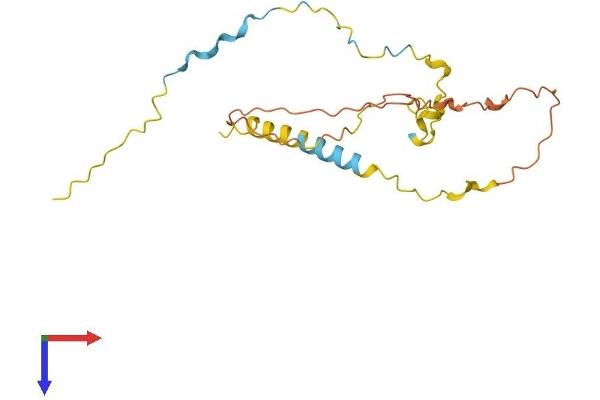 Chromosome 5 Open Reading Frame 39 (C5orf39) (AA 1-193) protein (His tag)
