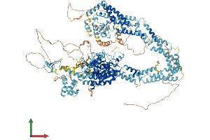 AlphaFold protein structure predicition of Human Recombinant KDM5D Protein, UniprotID Q9BY66 (KDM5D Protein (AA 1-1539) (His tag))