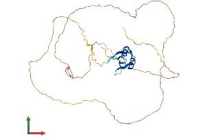 Protein Structure (PS) image for RNA Binding Motif Protein, Y-Linked Family 1 Member A1 (RBMY1A1) (AA 1-380) protein (His tag) (ABIN7562365)