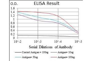Black line: Control Antigen (100 ng), Purple line: Antigen(10 ng), Blue line: Antigen (50 ng), Red line: Antigen (100 ng), (ZFP42 抗体  (AA 249-310))