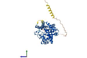 Protein Structure (PS) image for ST8 alpha-N-Acetyl-Neuraminide alpha-2,8-Sialyltransferase 6 (ST8SIA6) (AA 1-398) protein (His tag) (ABIN7546023)