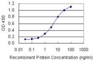 Detection limit for recombinant GST tagged SEC24A is 0. (SEC24A 抗体  (AA 301-390))