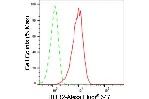 Flow cytometric analysis of ROR2 expression in HeLa cells using ROR2 antibody (ABIN7800155), 1:2,000). (Recombinant ROR2 抗体)