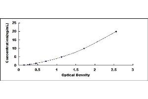 Typical standard curve (Complement C3 Convertase ELISA 试剂盒)