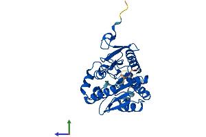 Protein Structure (PS) image for Monoglyceride Lipase (MGLL) (AA 1-303) protein (His tag) (ABIN7549342)