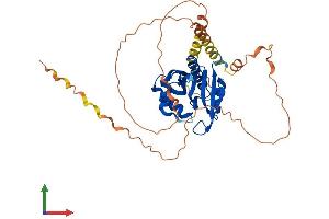 Protein Structure (PS) image for N(alpha)-Acetyltransferase 30, NatC Catalytic Subunit (NAA30) (AA 1-362) protein (His tag) (ABIN7549623)