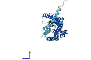 AlphaFold protein structure predicition of Human Recombinant OR10D3 Protein, UniprotID Q8NH80 (OR10D3 Protein (AA 1-312) (His tag))