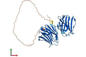 Protein Structure (PS) image for Lectin, Galactoside-Binding, Soluble, 9 (LGALS9) (AA 1-353) protein (His tag) (ABIN7562167)