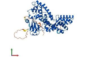Protein Structure (PS) image for SET Domain Containing 6 (SETD6) (AA 1-473) protein (His tag) (ABIN7546045)