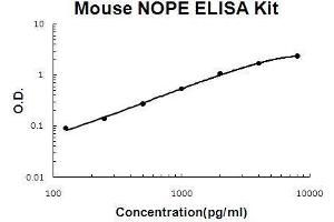Mouse NOPE/IGDCC4 PicoKine ELISA Kit standard curve (IGDCC4 ELISA 试剂盒)