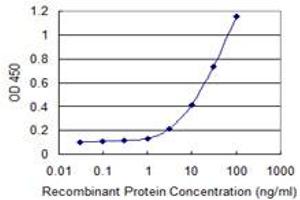 Detection limit for recombinant GST tagged VNN1 is 1 ng/ml as a capture antibody. (VNN1 抗体  (AA 298-397))
