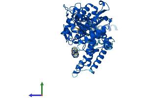 Protein Structure (PS) image for Cytochrome P450, Family 2, Subfamily C, Polypeptide 9 (CYP2C9) (AA 1-490) protein (His tag) (ABIN7546688)