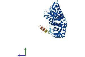Protein Structure (PS) image for Mitochondrial Ribosomal Protein L39 (MRPL39) (AA 1-336) protein (His tag) (ABIN7561635)