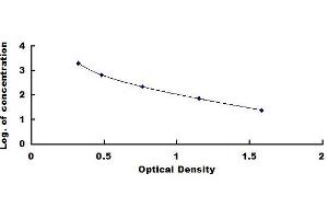 Typical standard curve