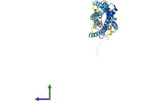 Protein Structure (PS) image for Chemokine (C-X-C Motif) Receptor 2 (CXCR2) (AA 1-360) protein (His tag) (ABIN7546854)