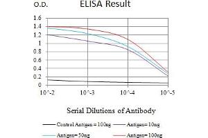 Black line: Control Antigen (100 ng),Purple line: Antigen (10 ng), Blue line: Antigen (50 ng), Red line:Antigen (100 ng) (WT1 抗体  (AA 1-181))
