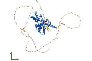 Protein Structure (PS) image for Cyclin L2 (CCNL2) (AA 1-518) protein (His tag) (ABIN7561576)