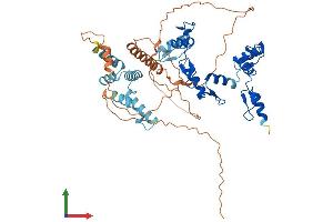 Protein Structure (PS) image for Zinc Finger Protein 446 (ZNF446) (AA 1-494) protein (His tag) (ABIN7545708)
