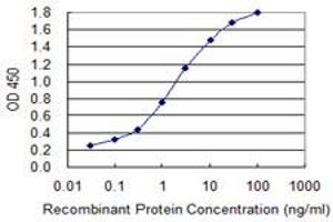 Detection limit for recombinant GST tagged ALAS1 is 0. (ALAS1 抗体  (AA 1-98))