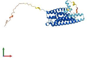 Protein Structure (PS) image for G Protein-Coupled Receptor 12 (GPR12) (AA 1-334) protein (His tag) (ABIN7548083)