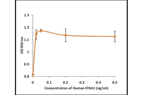 IFNA1 Protein