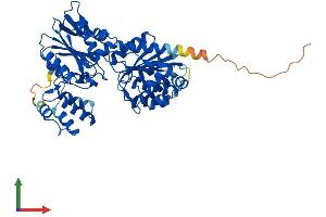 Protein Structure (PS) image for Glycerate Kinase (GLYCTK) (AA 1-523) protein (His tag) (ABIN7547928)
