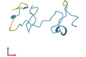 AlphaFold protein structure predicition of Human Recombinant MT1F Protein, UniprotID P04733