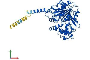 Protein Structure (PS) image for Abhydrolase Domain Containing 3 (ABHD3) (AA 1-409) protein (His tag) (ABIN7551892)
