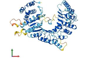 Protein Structure (PS) image for Leucine Rich Repeat Containing 14 (LRRC14) (AA 1-493) protein (His tag) (ABIN7549107)
