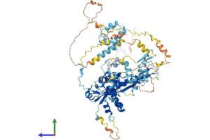 AlphaFold protein structure predicition of Human Recombinant FBXO40 Protein, UniprotID Q9UH90