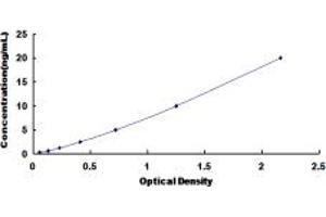 Typical standard curve (FZD6 ELISA 试剂盒)