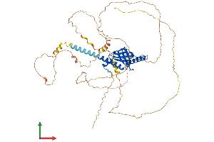 AlphaFold protein structure predicition of Mouse Recombinant Dab1 Protein, UniprotID P97318