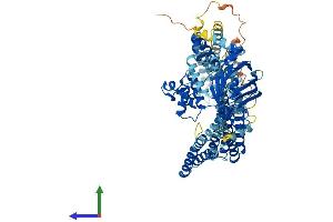Protein Structure (PS) image for ATP-Binding Cassette, Sub-Family B (MDR/TAP), Member 6 (ABCB6) (AA 1-842) protein (His tag) (ABIN7551792)