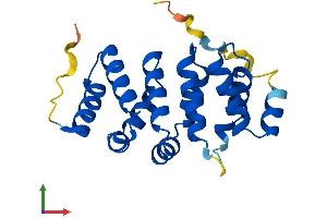 AlphaFold protein structure predicition of Mouse Recombinant Armc7 Protein, UniprotID Q3UJZ3