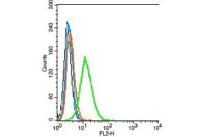 RSC96 cells probed with CD47/MER6 Polyclonal Antibody, Unconjugated  at 1:100 for 30 minutes followed by incubation with a PE conjugated secondary (green) for 30 minutes compared to control cells (blue), secondary only (light blue) and isotype control (orange). (CD47 抗体  (AA 241-323))