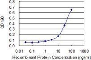 Sandwich ELISA detection sensitivity ranging from 3 ng/mL to 100 ng/mL. (SUGT1 (人) Matched Antibody Pair)