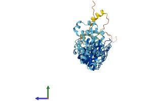 Protein Structure (PS) image for Ankyrin Repeat and SOCS Box-Containing 10 (ASB10) (AA 1-467) protein (His tag) (ABIN7560156)