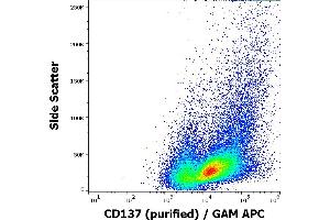 Flow cytometry surface staining pattern of human PHA stimulated peripheral blood mononuclear cell suspension stained using anti-humam CD137 (4B4-1) purified antibody (concentration in sample 4 μg/mL) GAM APC.