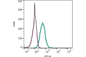Cell surface detection of L1CAM by indirect flow cytometry in live intact human  monocytic leukemia cell line: + goat-anti-rabbit-FITC.