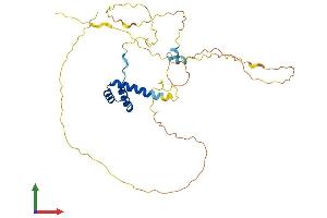 Protein Structure (PS) image for Developing Brain Homeobox 1 (DBX1) (AA 1-343) protein (His tag) (ABIN7547045)